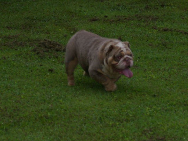 Layla of Designer Bullz